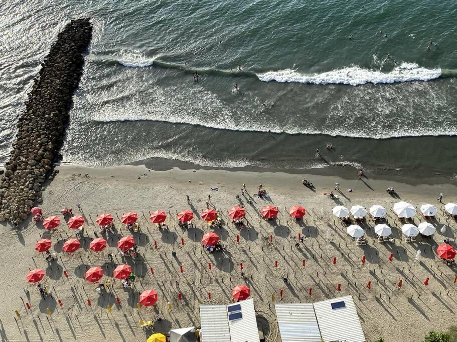 Palmetto Eliptic Bocagrande * Cartagena