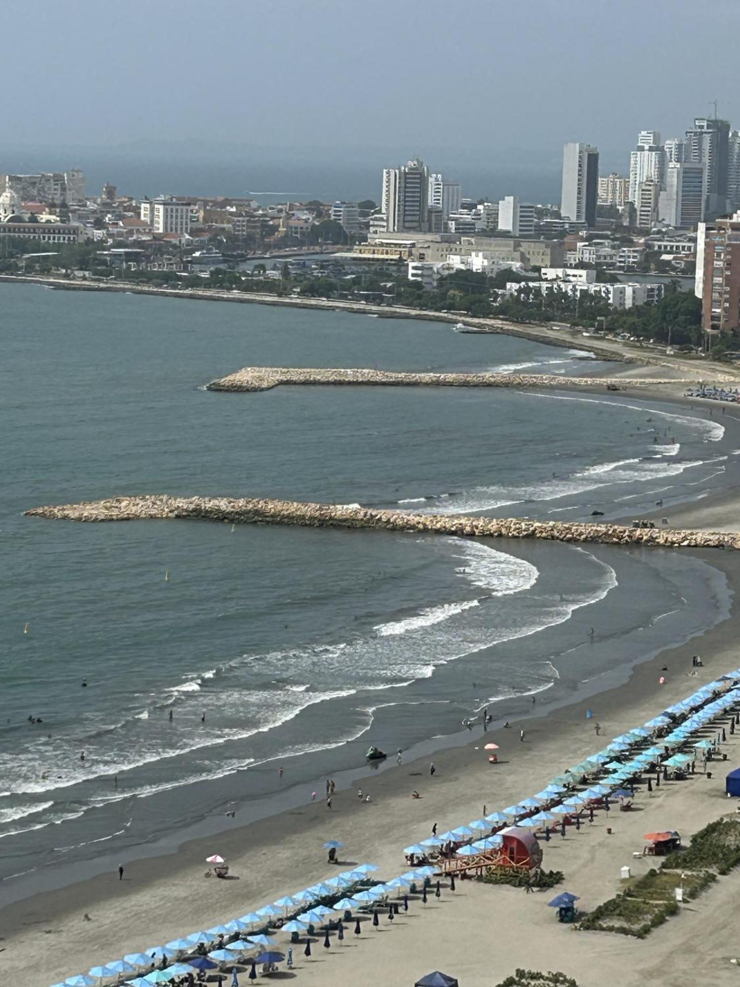 Palmetto Eliptic Bocagrande * Cartagena