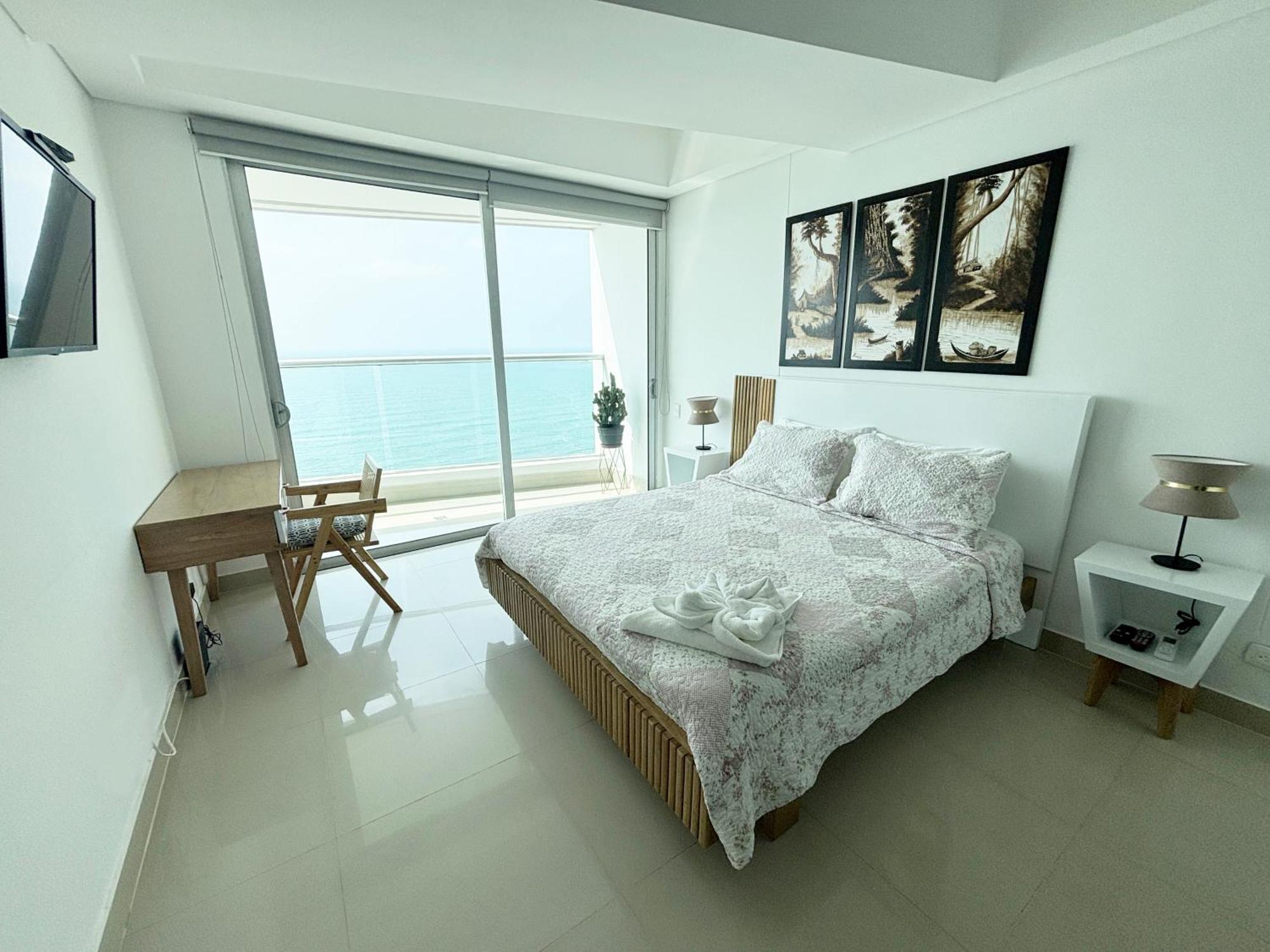 Palmetto Eliptic Bocagrande *